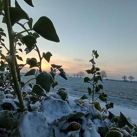 Zum Kranichblick Διαμέρισμα Glinstedt Εξωτερικό φωτογραφία