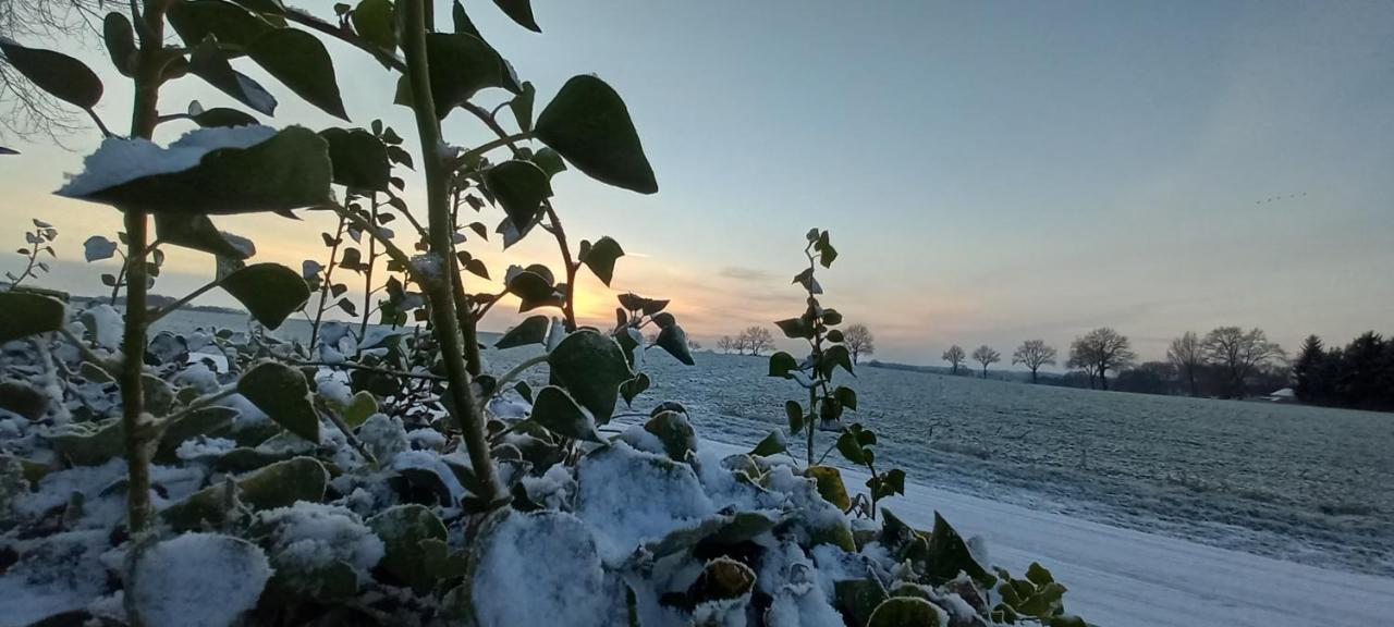Zum Kranichblick Διαμέρισμα Glinstedt Εξωτερικό φωτογραφία